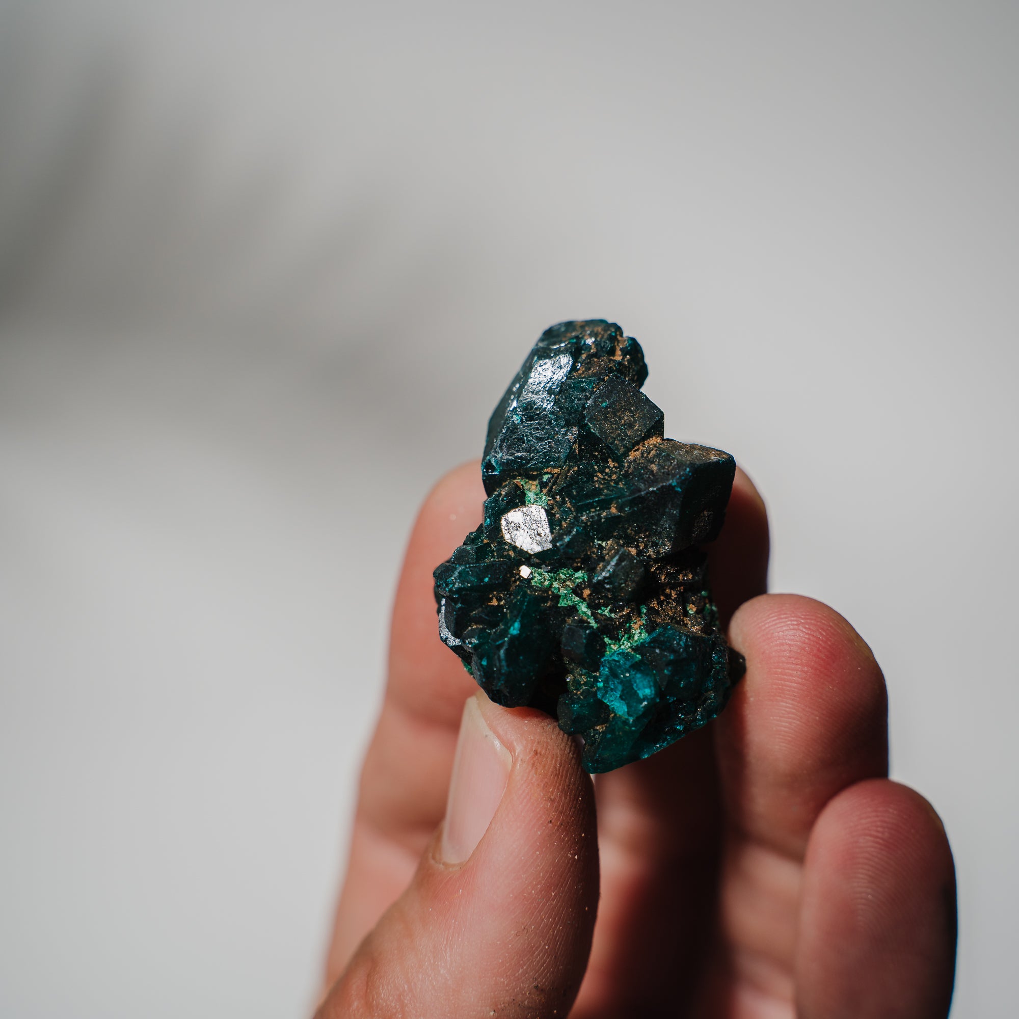 Dioptas Stufe 36DA
