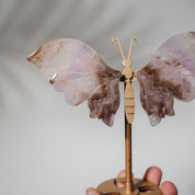 Amethyst Achat Schmetterling 36AB