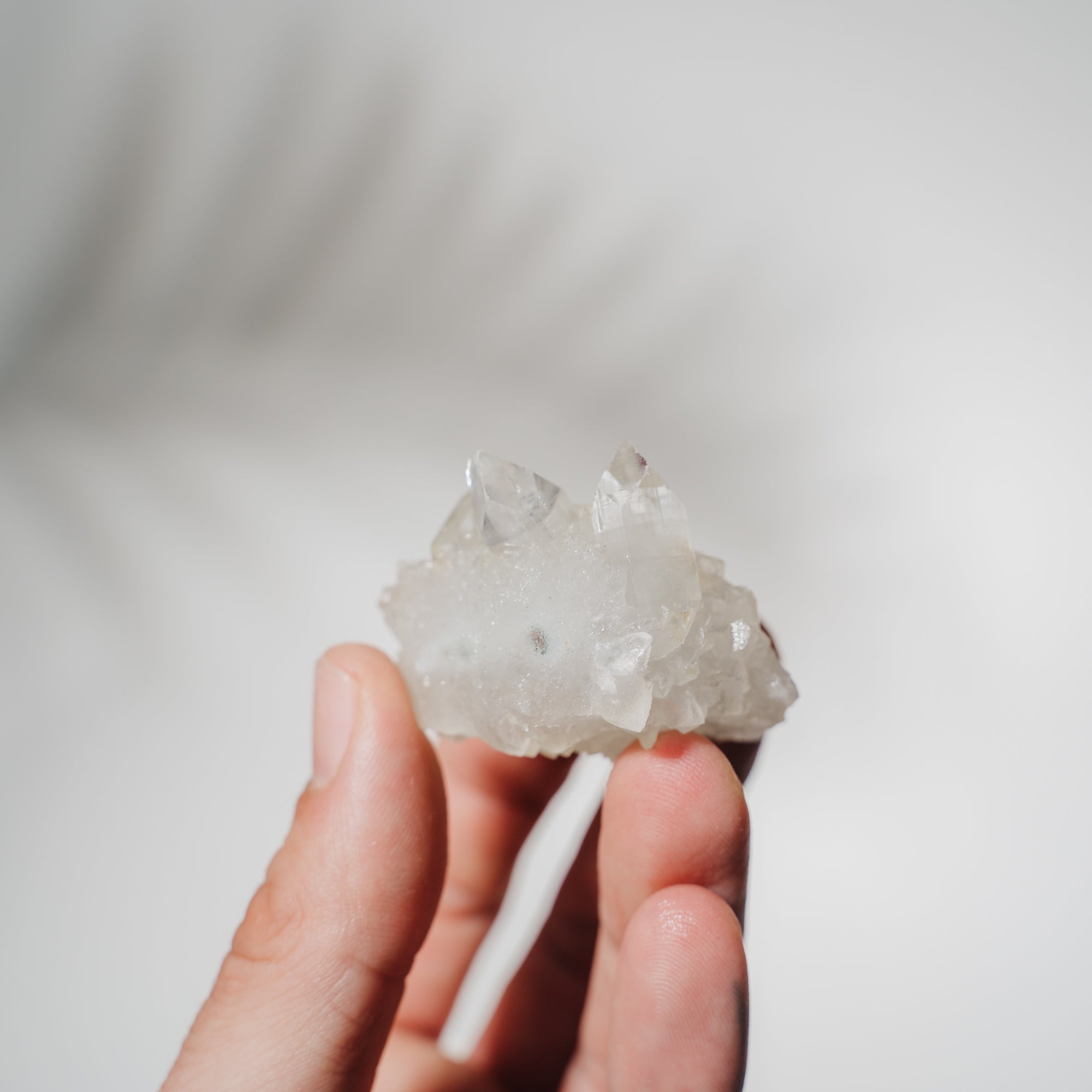 Apophyllit Stufe 23A