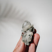 Apophyllit Stufe 24A