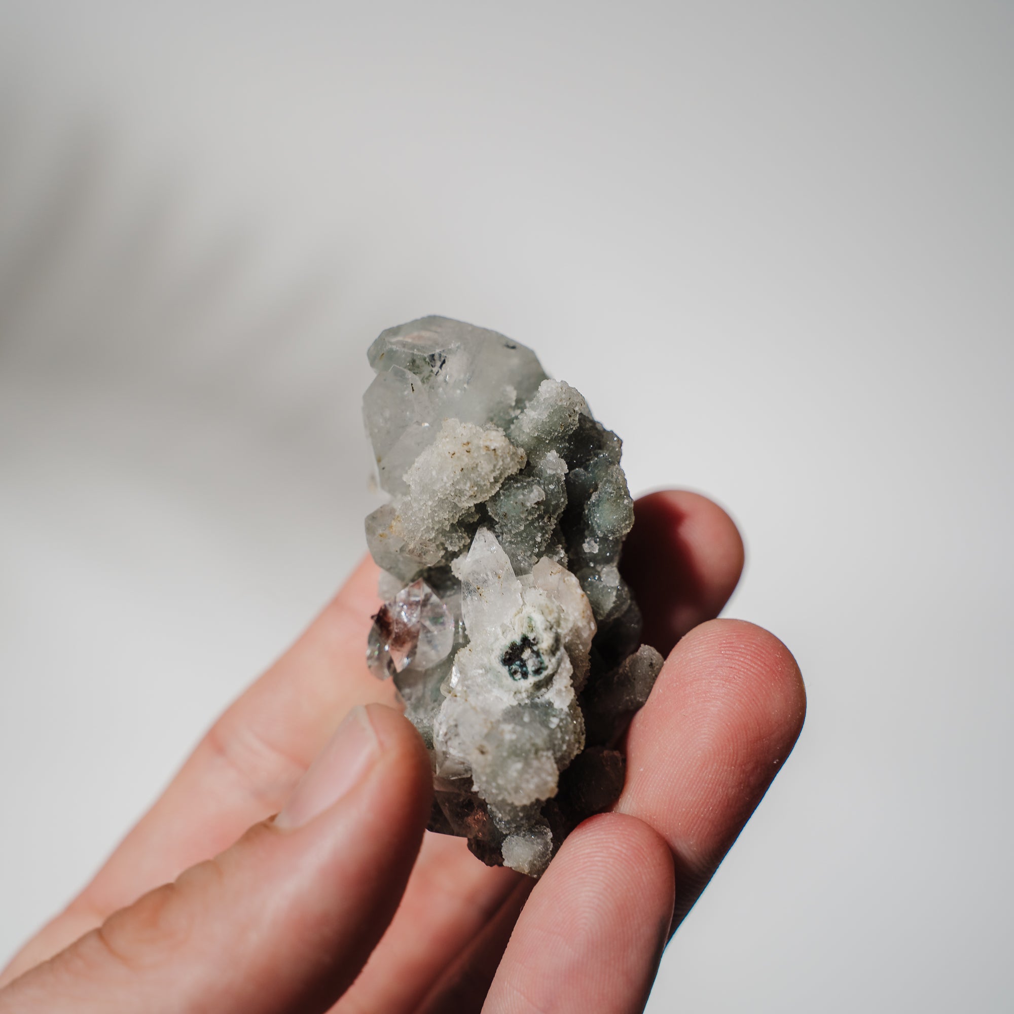 Apophyllit Stufe 24A