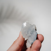 Apophyllit Stufe 28A