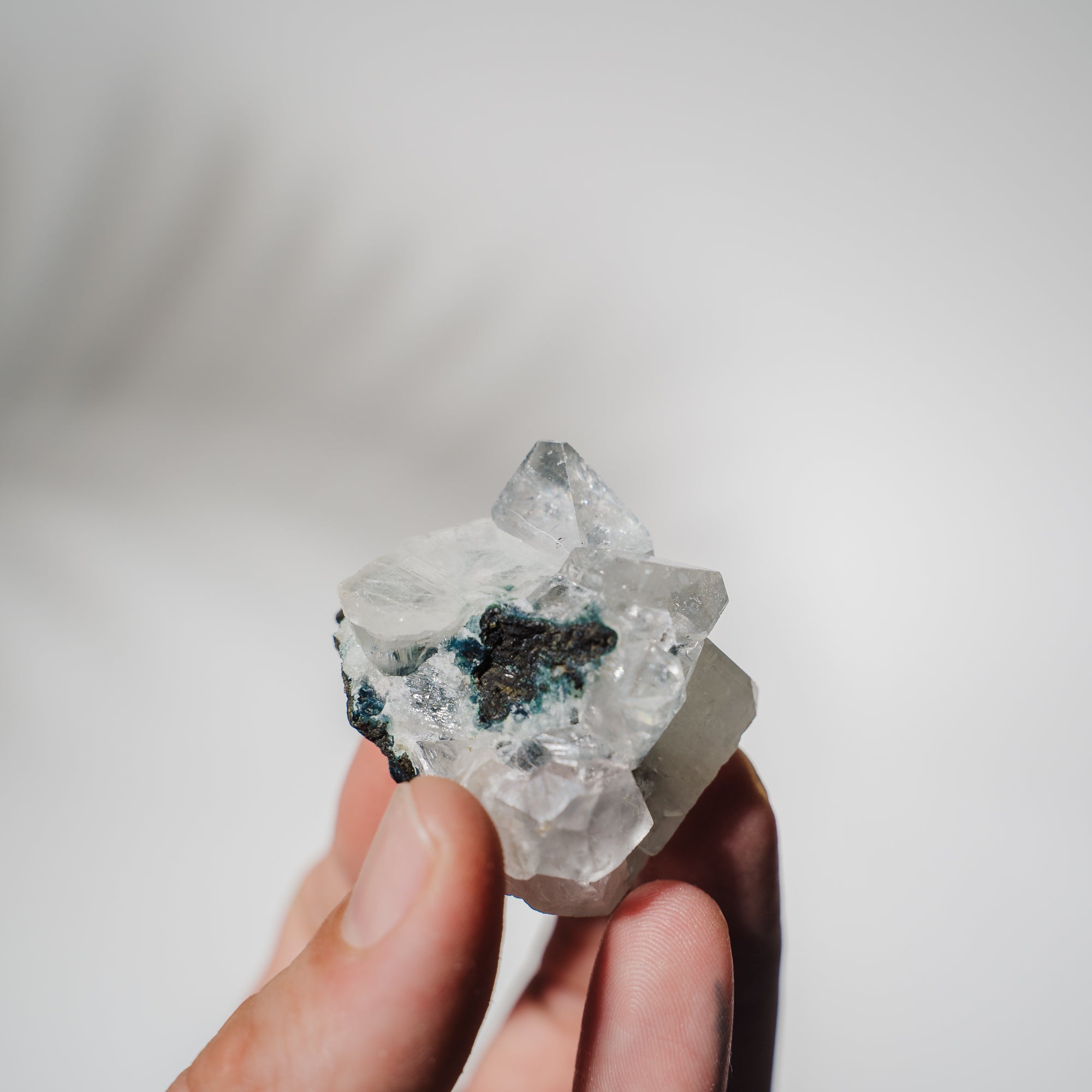 Apophyllit Stufe 23AB