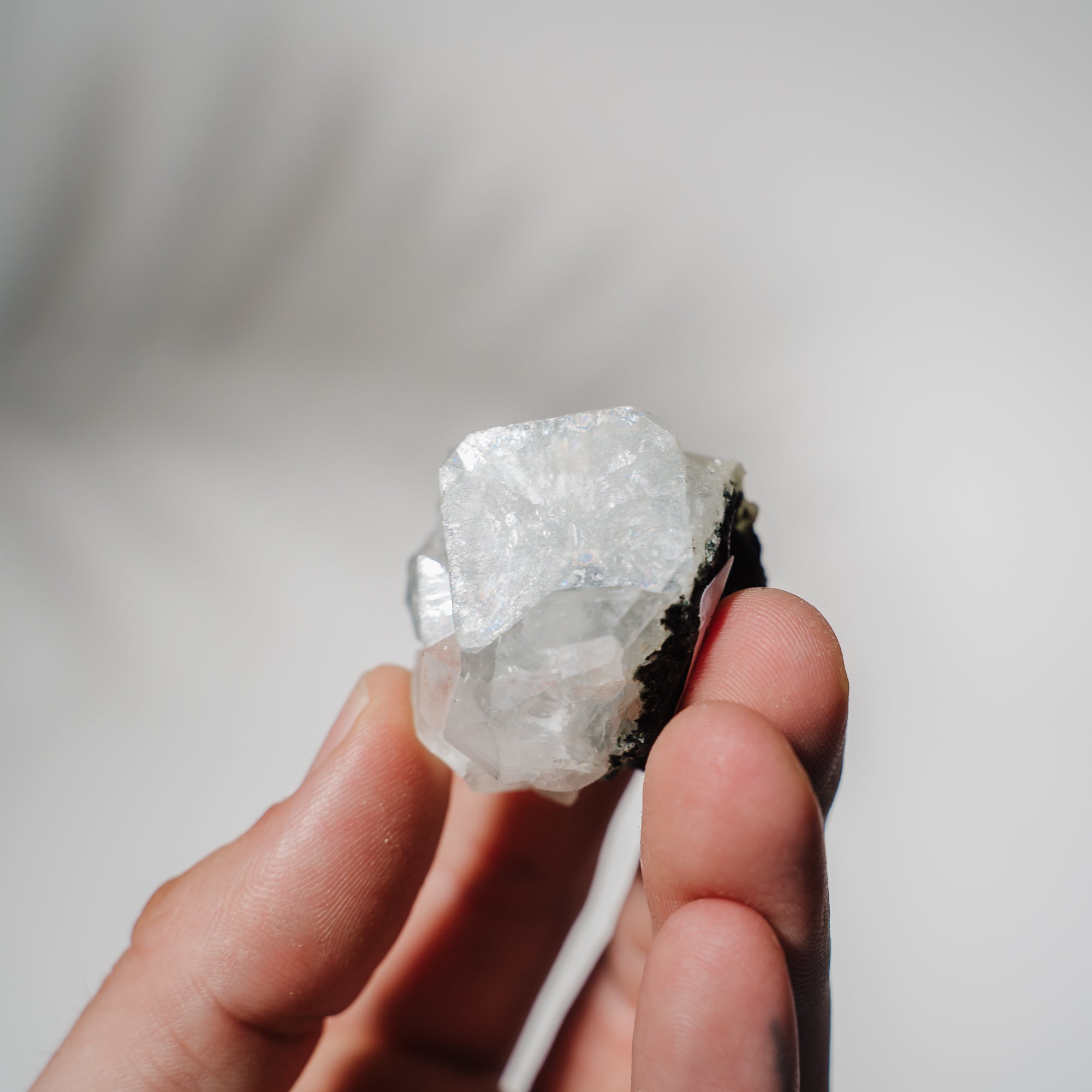 Apophyllit Stufe 23AB