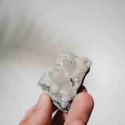 Apophyllit Stufe 15AB