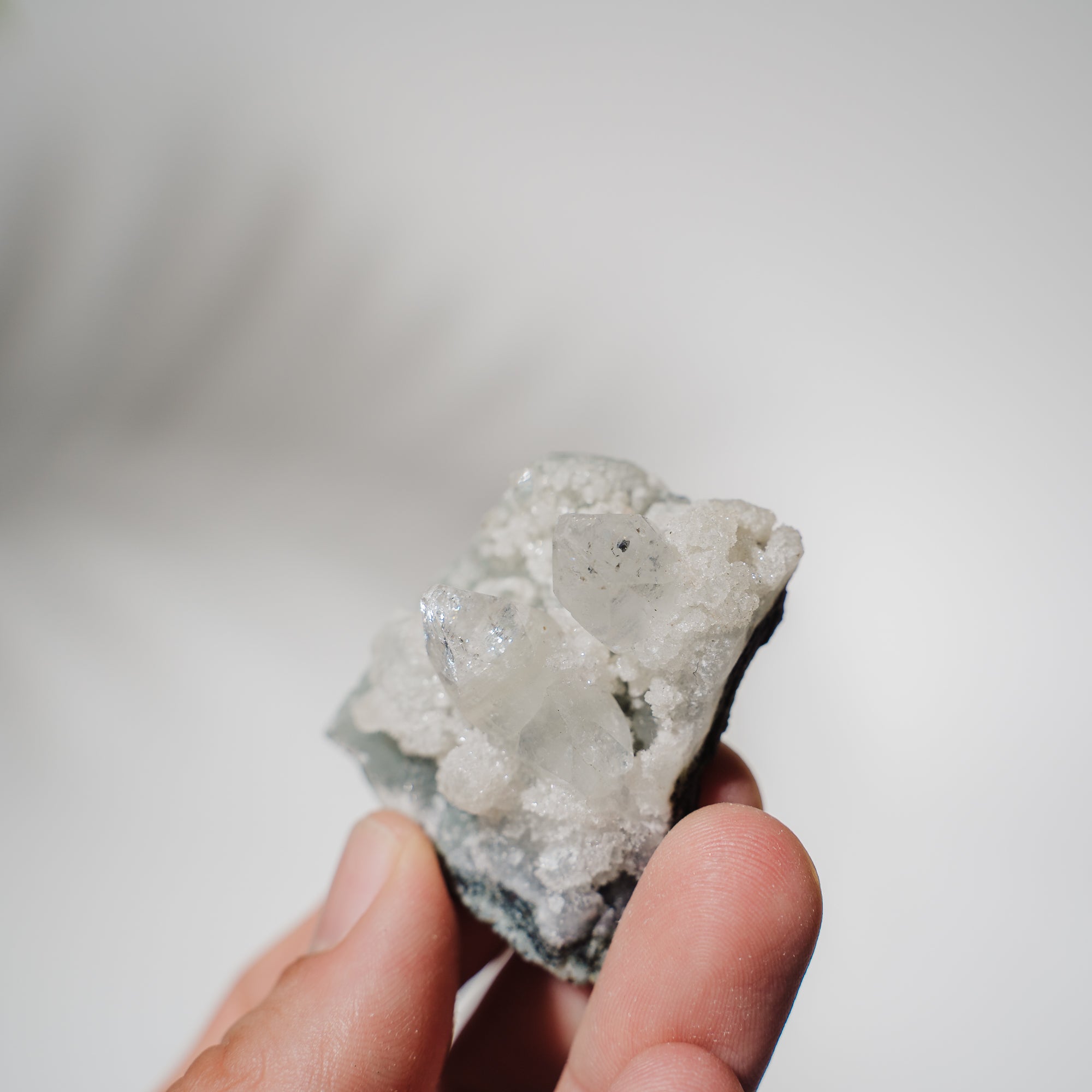 Apophyllit Stufe 15AB