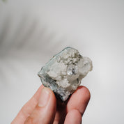 Apophyllit Stufe 15AB