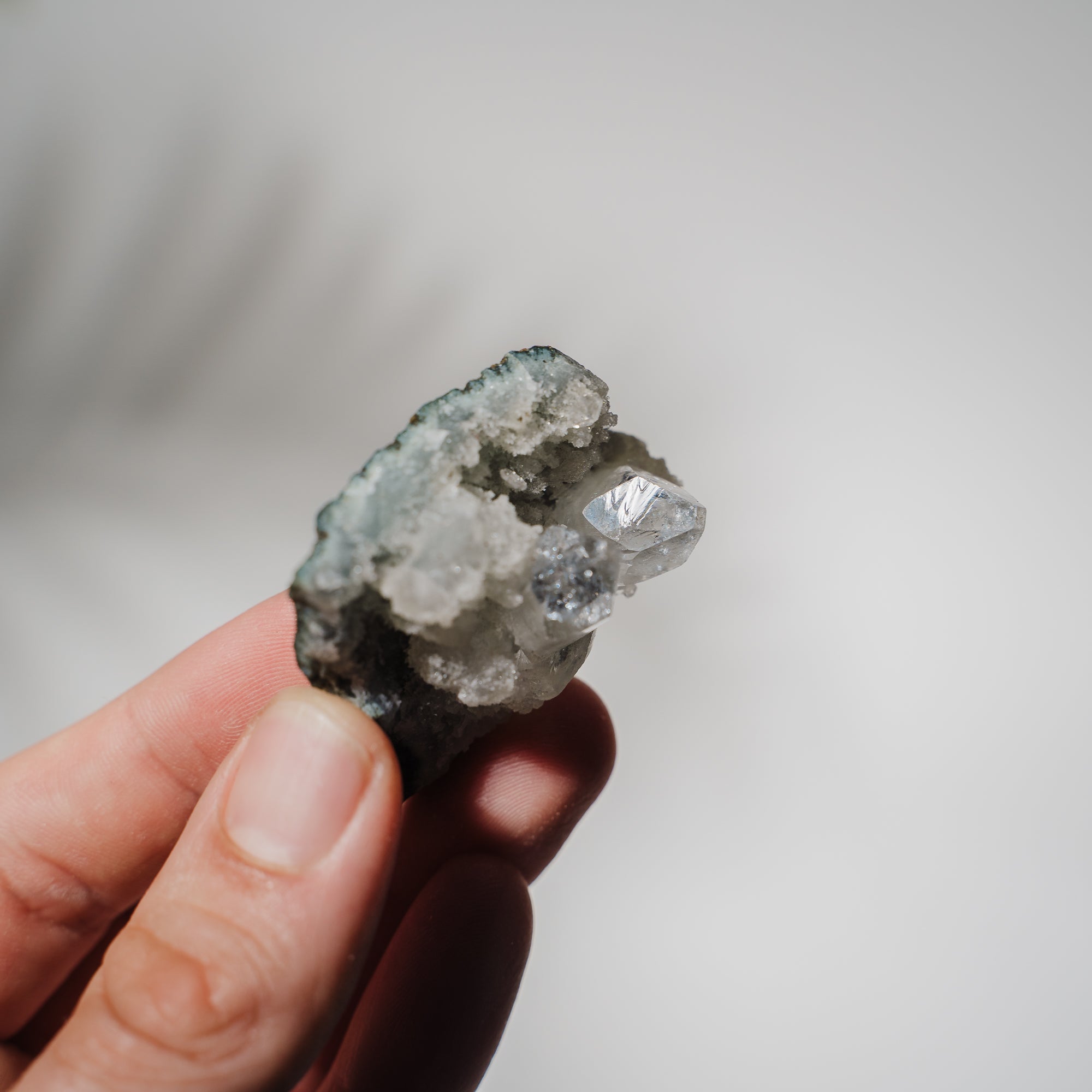 Apophyllit Stufe 15AB