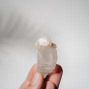 Apophyllit Stufe 15A