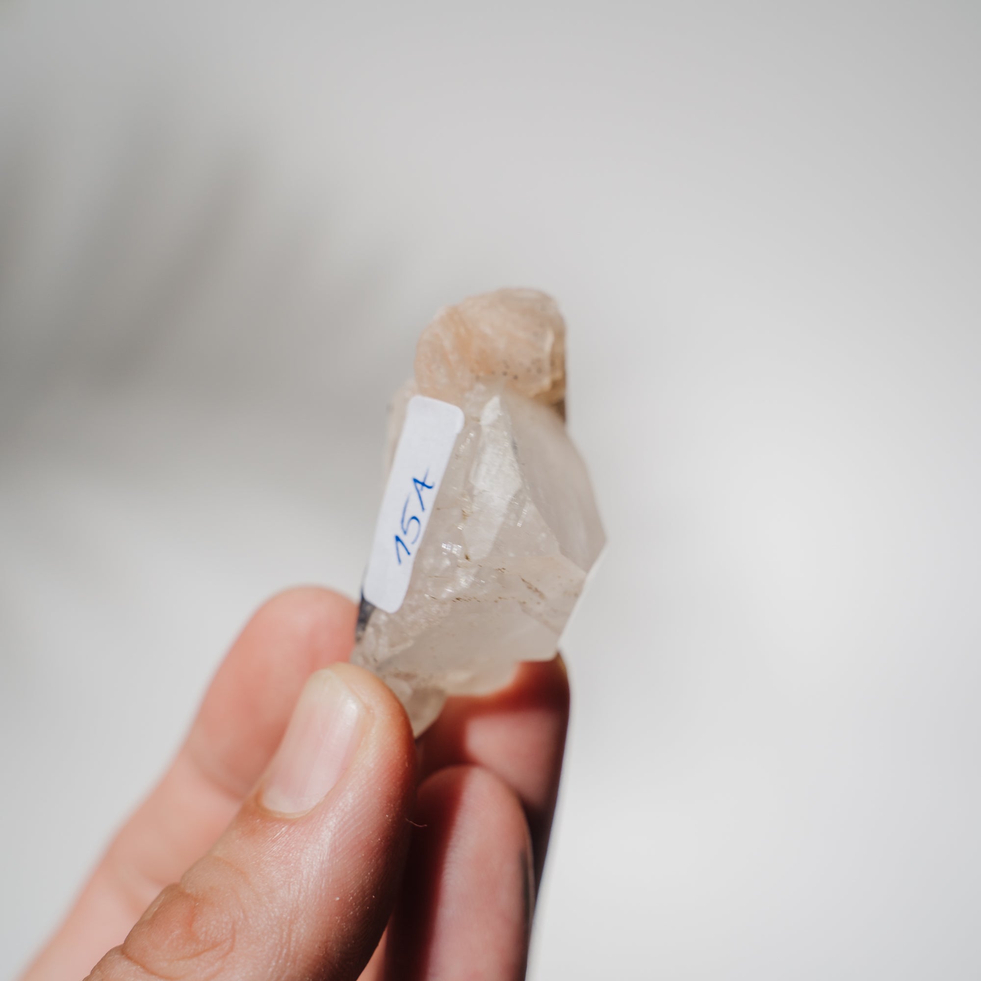 Apophyllit Stufe 15A