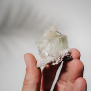 Apophyllit Stufe 19AB