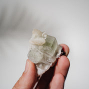 Apophyllit Stufe 19AB