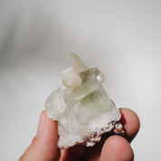 Apophyllit Stufe 19AB