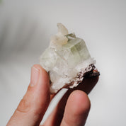Apophyllit Stufe 19AB