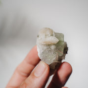 Apophyllit Stufe 19AB