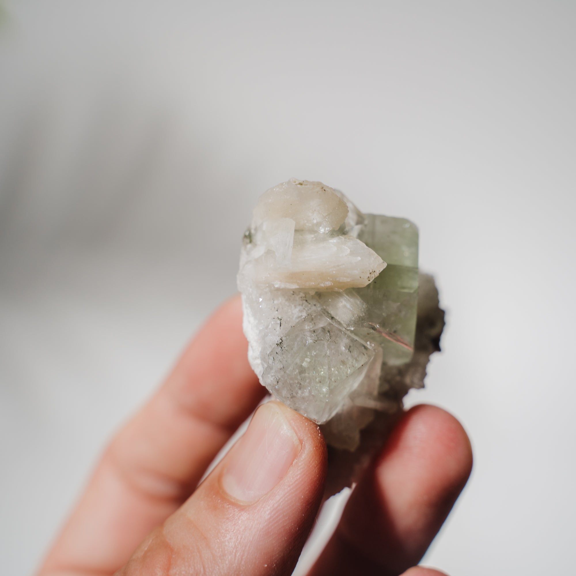 Apophyllit Stufe 19AB