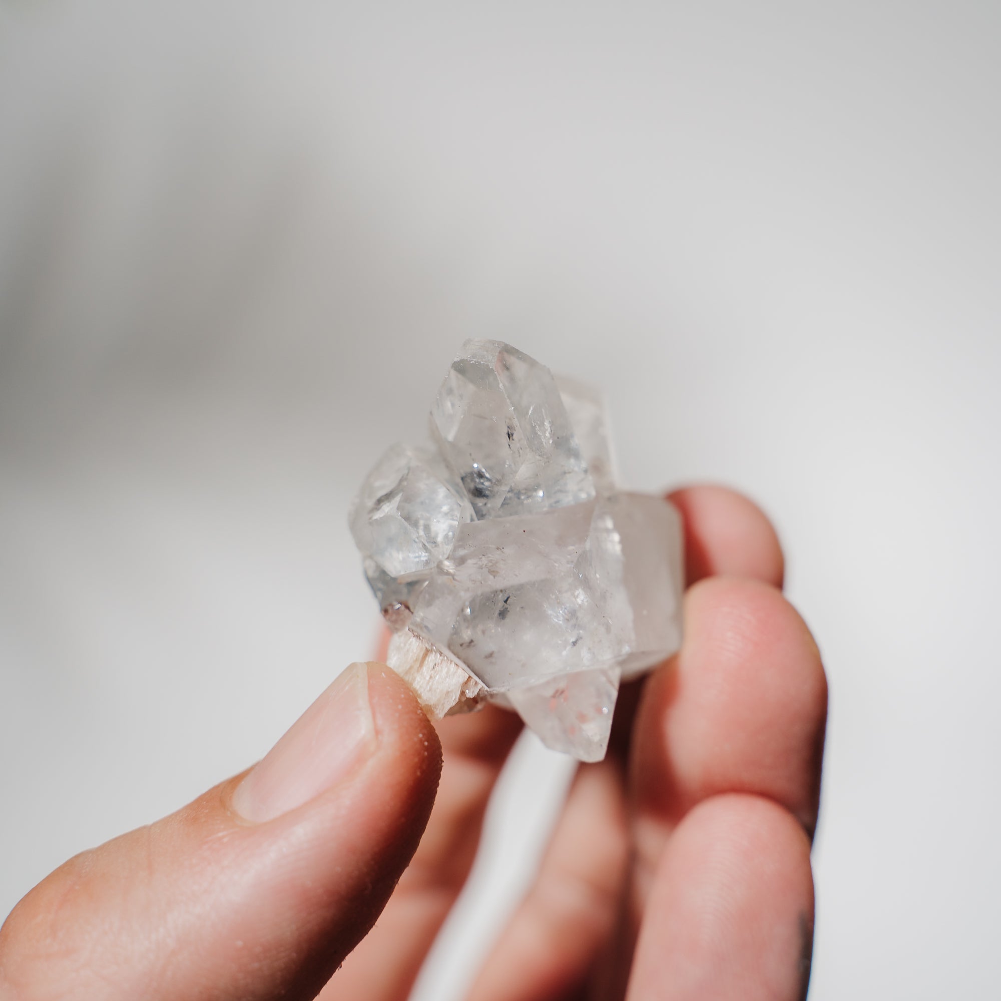 Apophyllit Stufe 9A