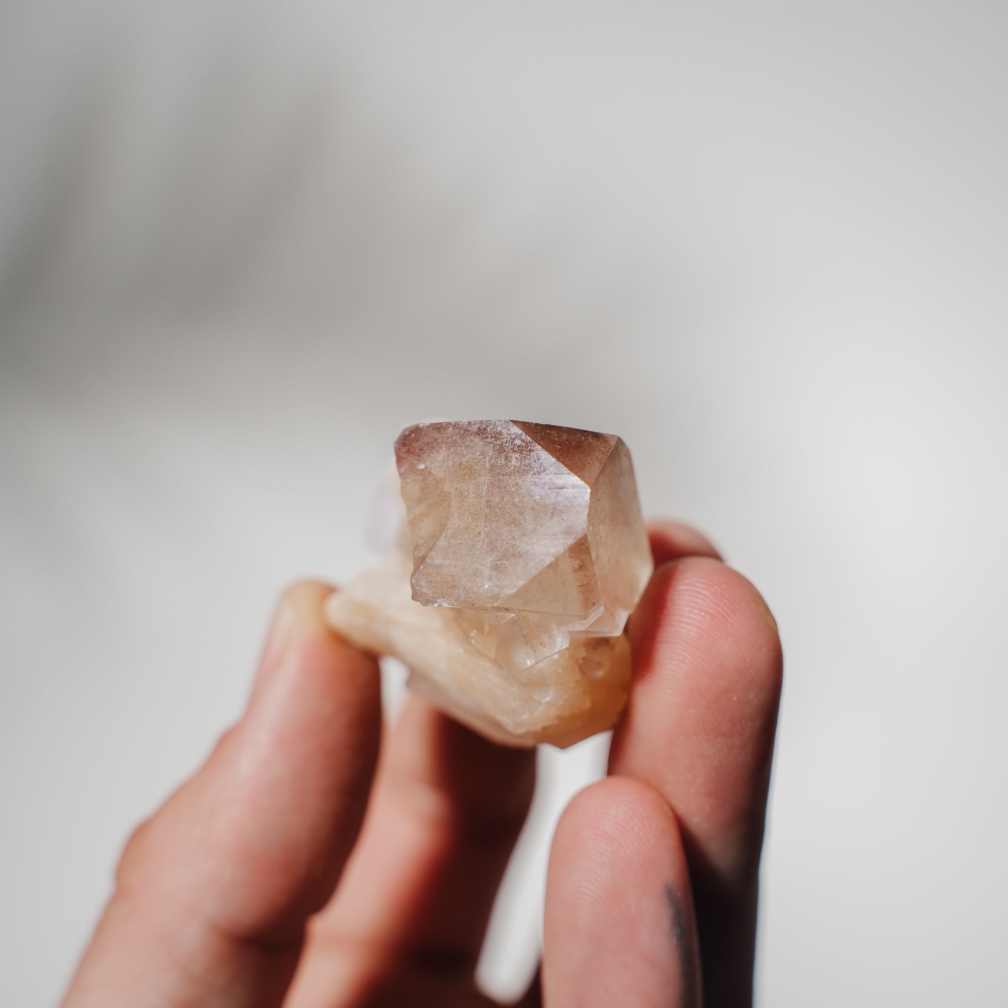 Apophyllit Stufe 13A