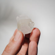 Apophyllit Stufe 11A