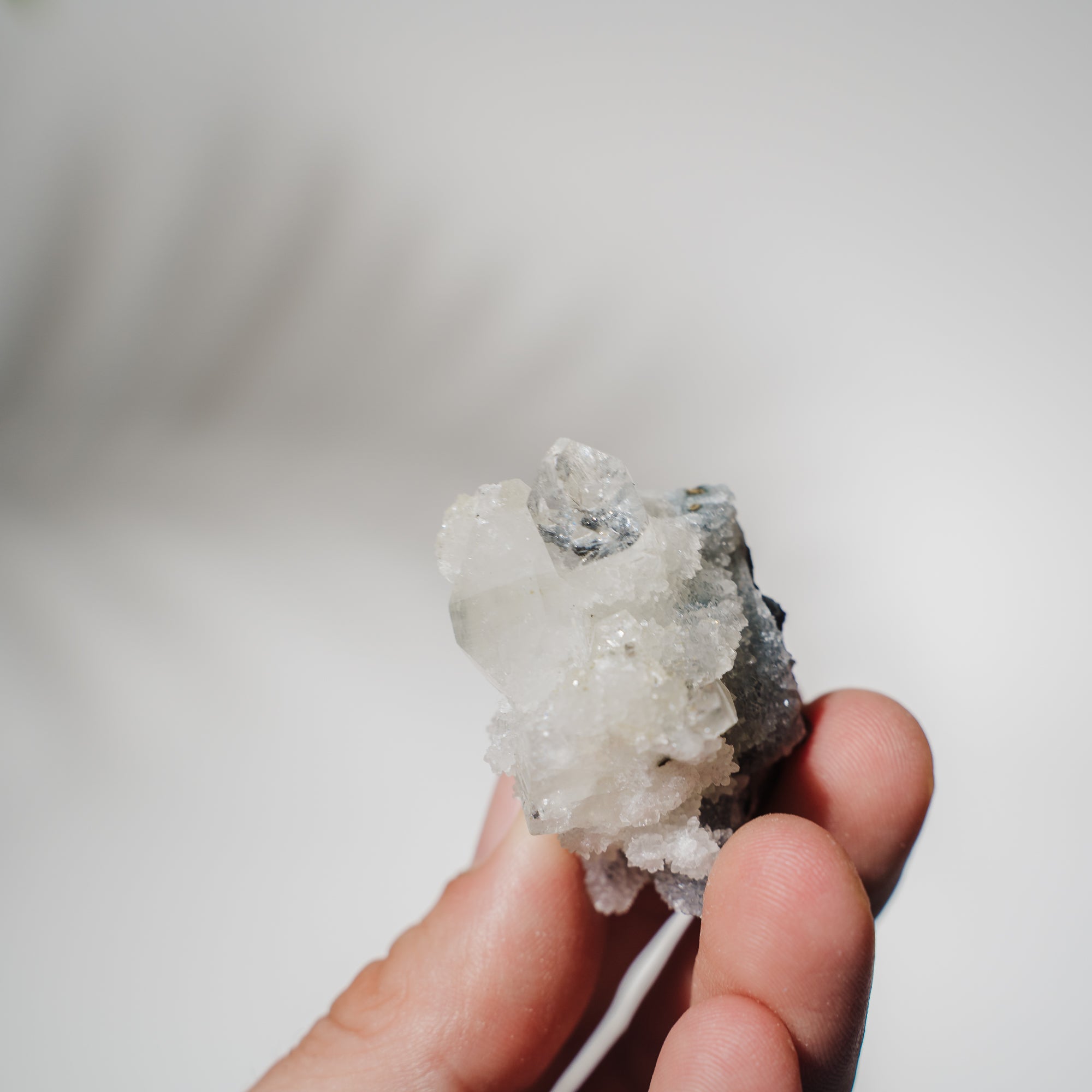 Apophyllit Stufe 15AB