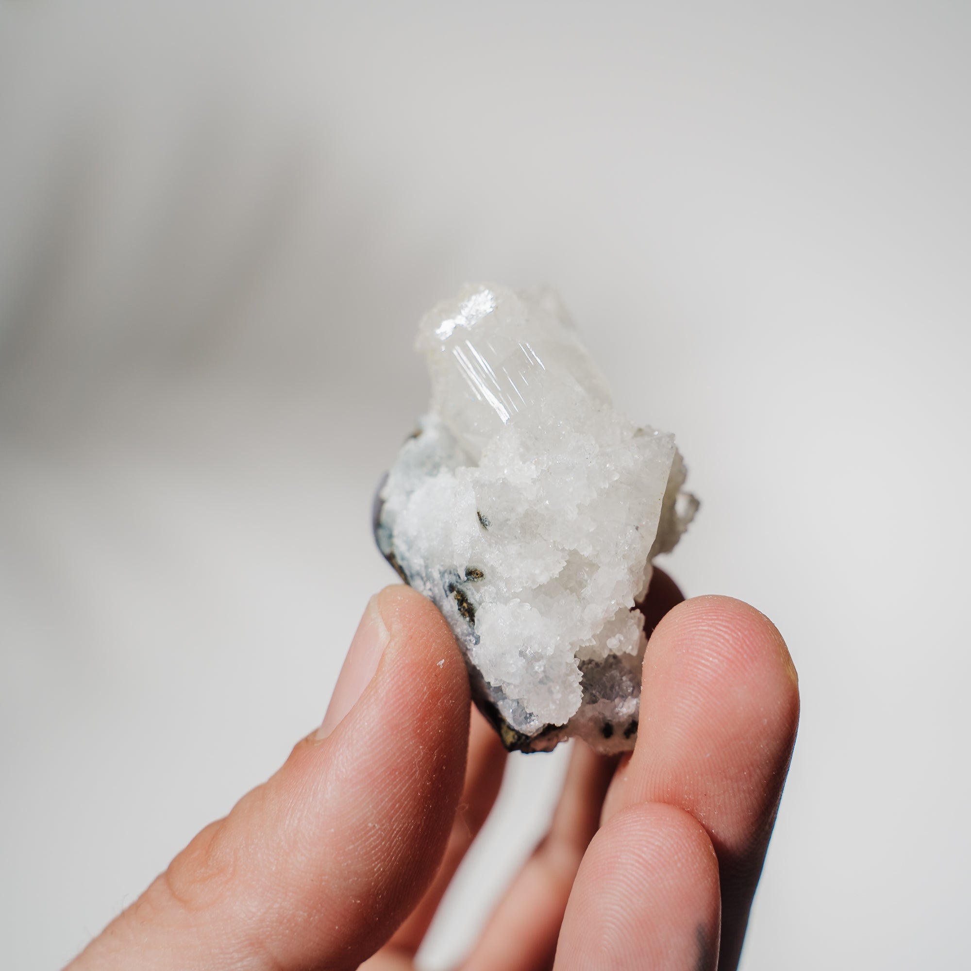 Apophyllit Stufe 15AB