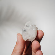 Apophyllit Stufe 13AB