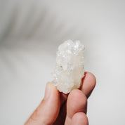 Apophyllit Stufe 15AC
