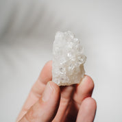 Apophyllit Stufe 15AC