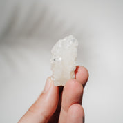 Apophyllit Stufe 15AC