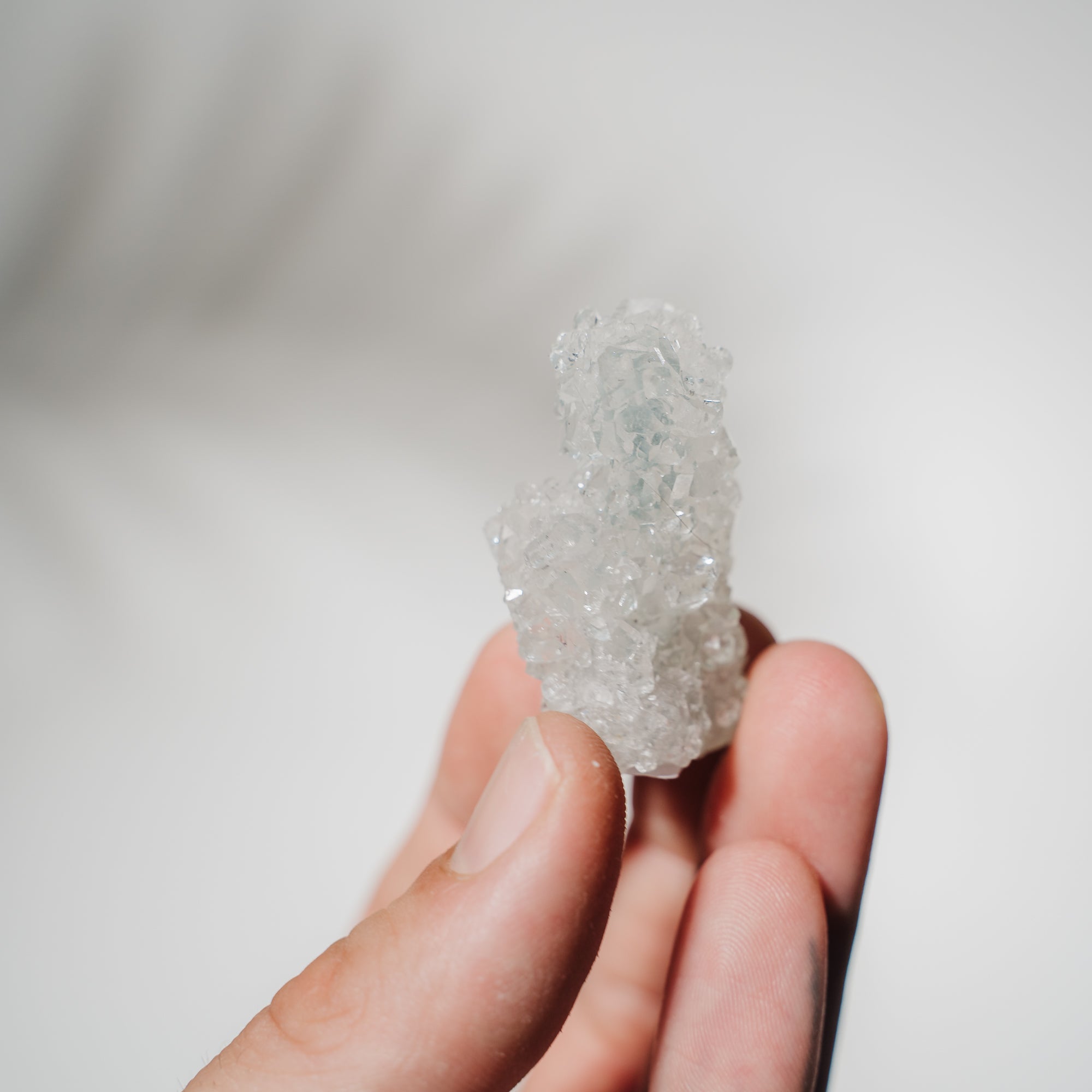 Apophyllit Stufe 10A