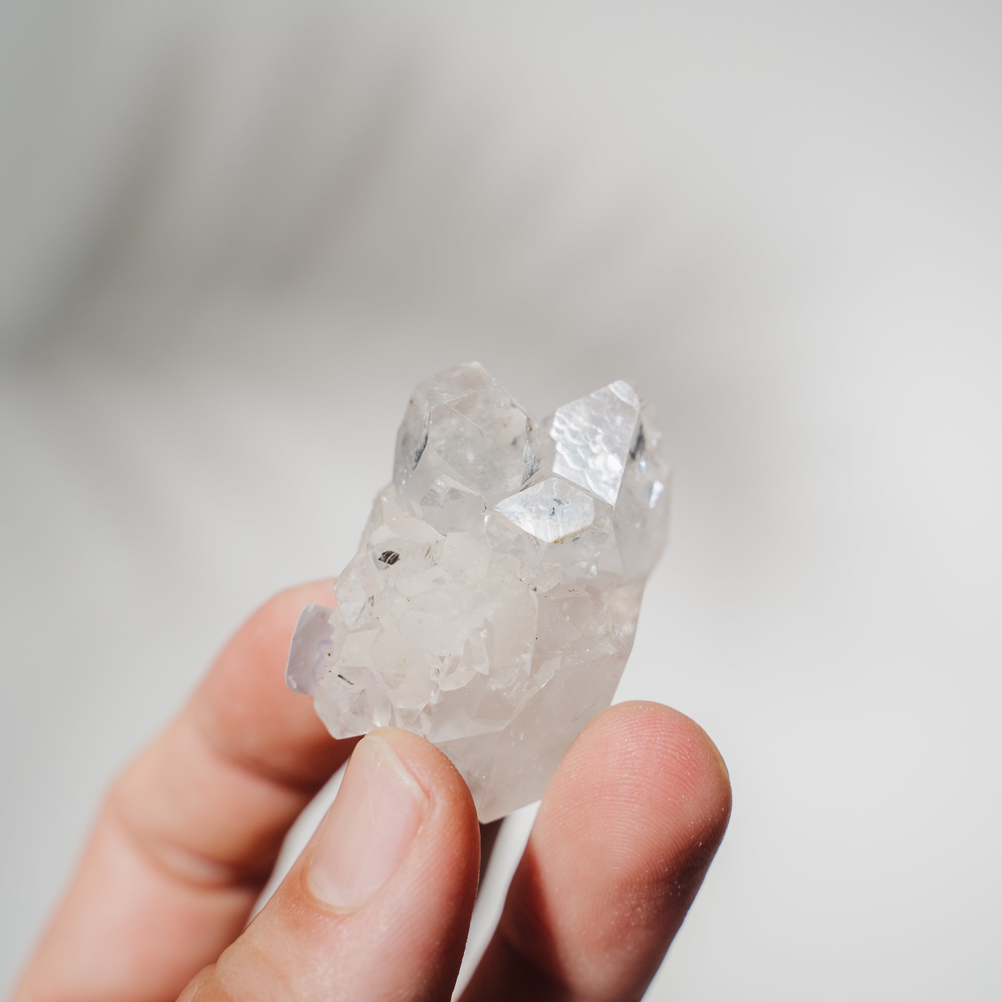 Apophyllit Stufe 16AB