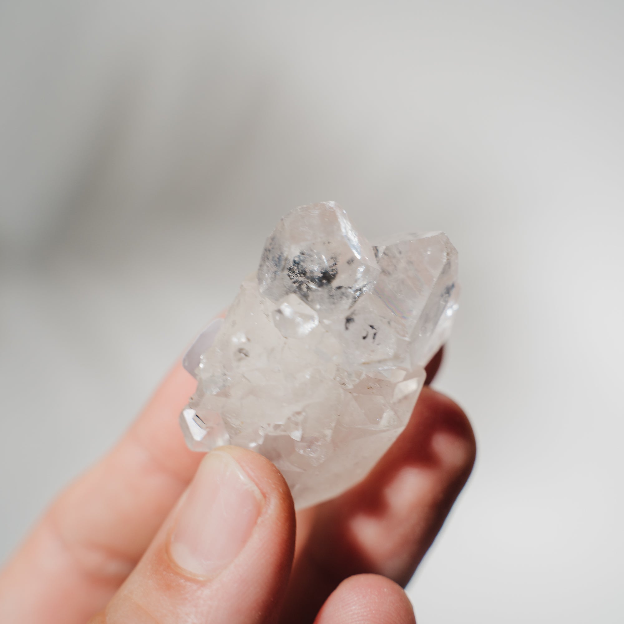 Apophyllit Stufe 16AB