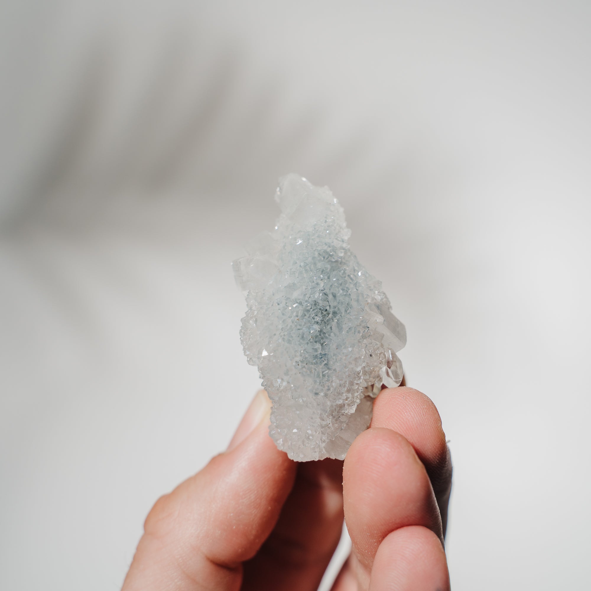 Apophyllit Stufe 15AD