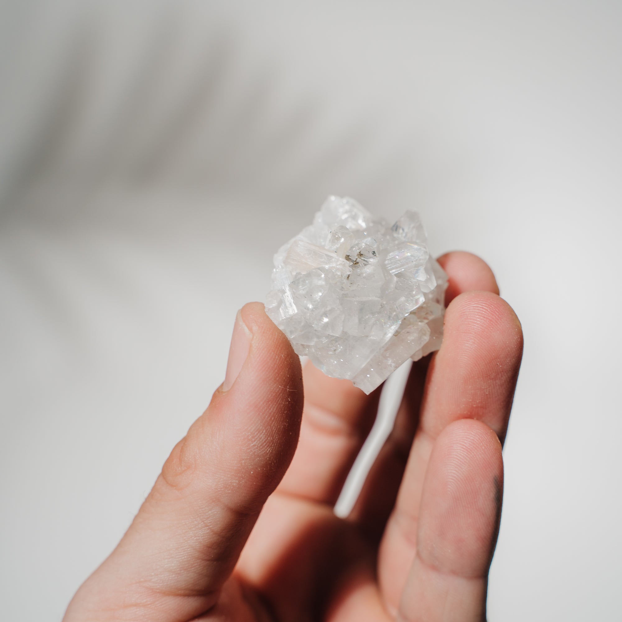 Apophyllit Stufe 10AD