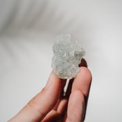Apophyllit Stufe 13AC