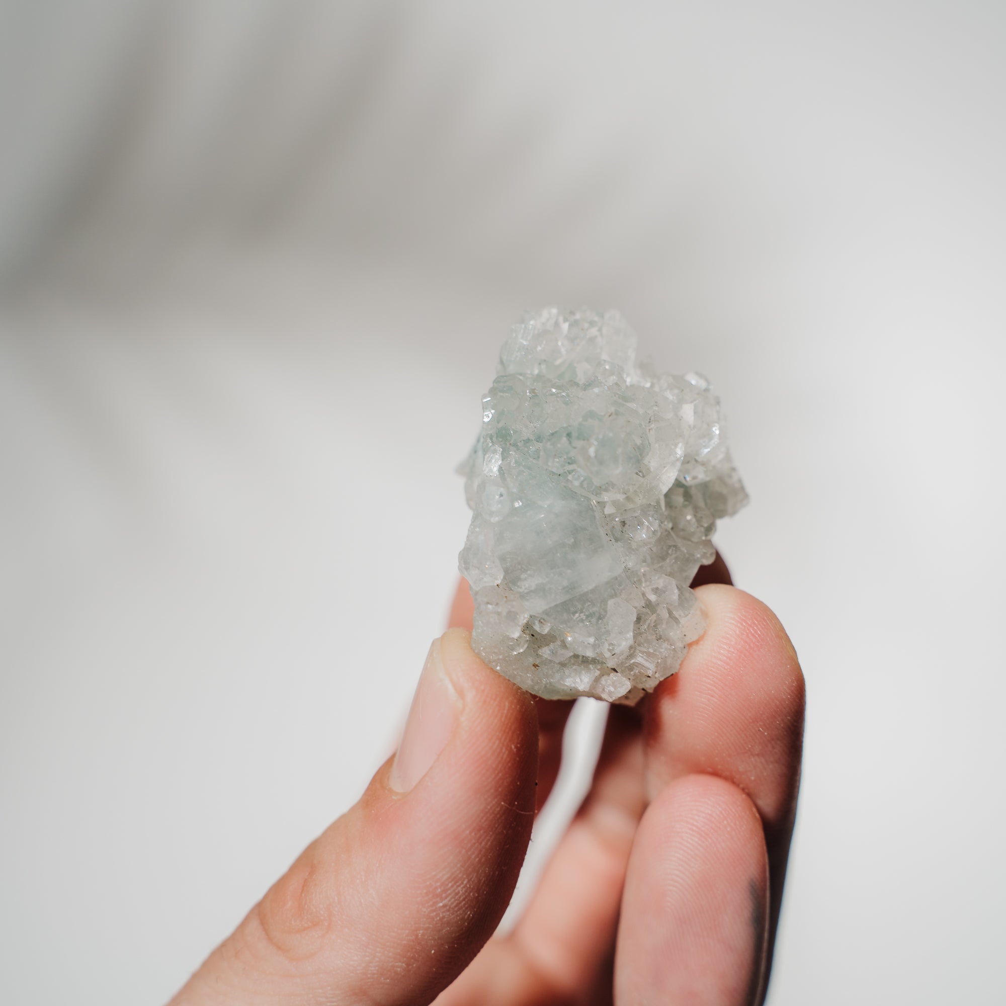 Apophyllit Stufe 13AC