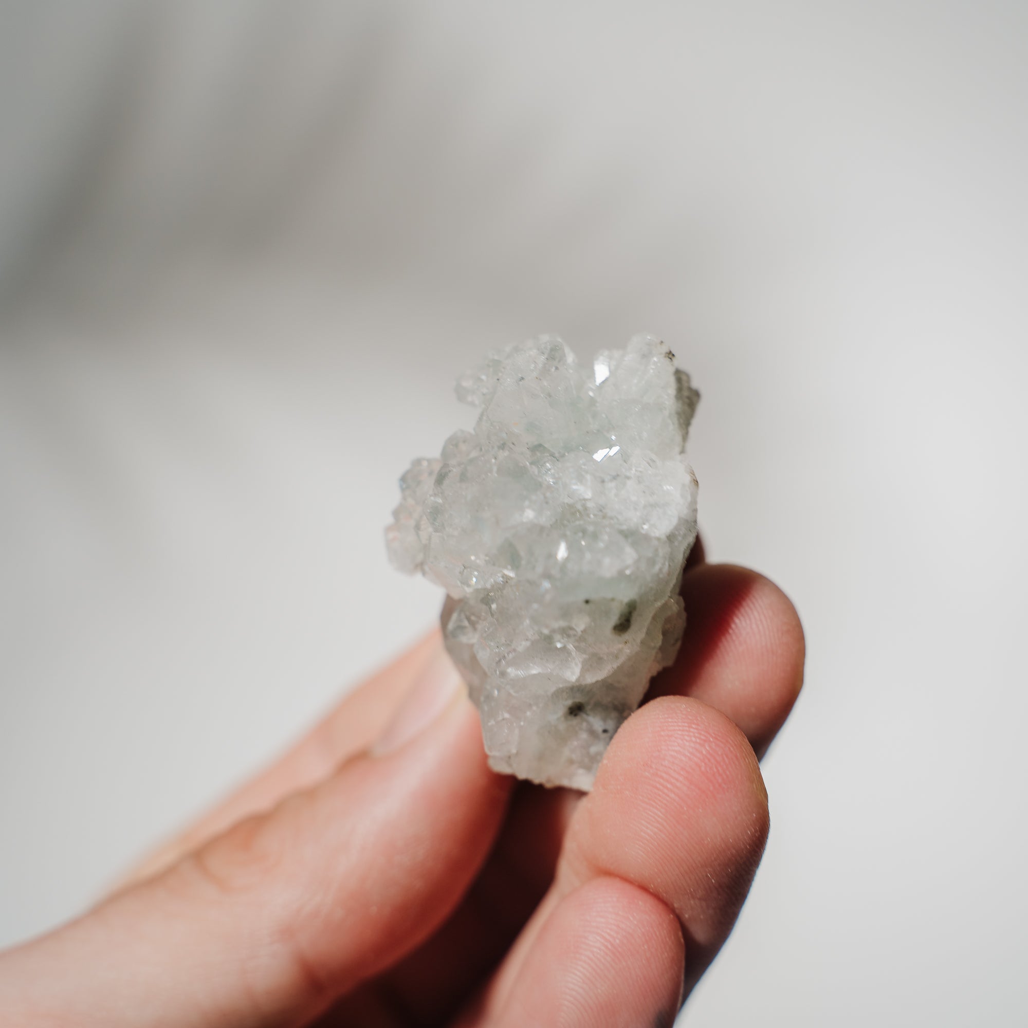 Apophyllit Stufe 13AC