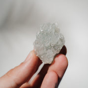 Apophyllit Stufe 13AC
