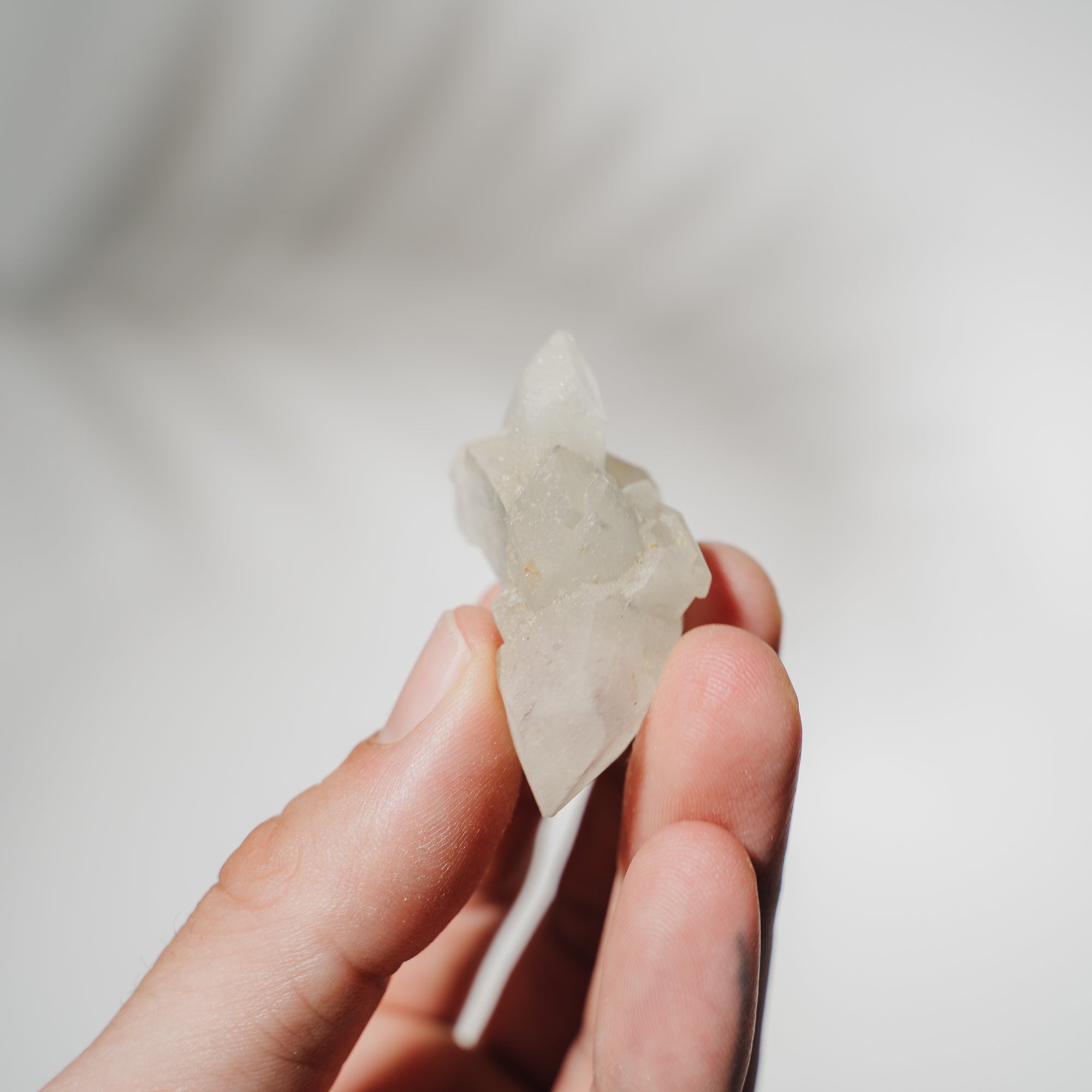 Apophyllit Stufe 8AC