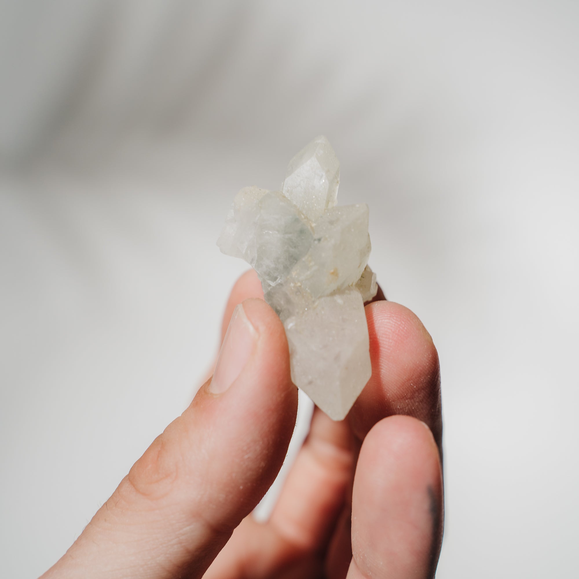 Apophyllit Stufe 8AC
