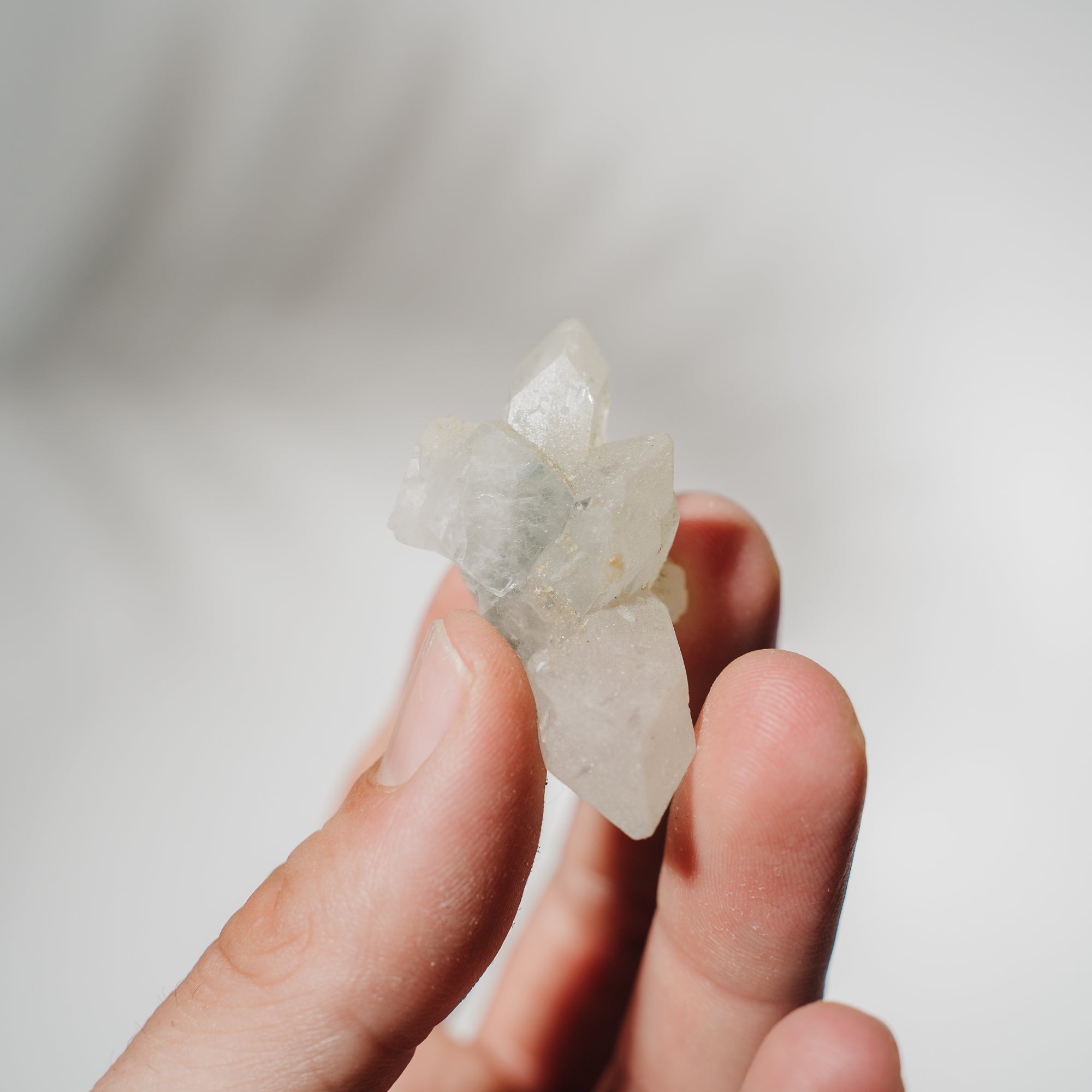 Apophyllit Stufe 8AC