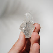 Apophyllit Stufe 14AB