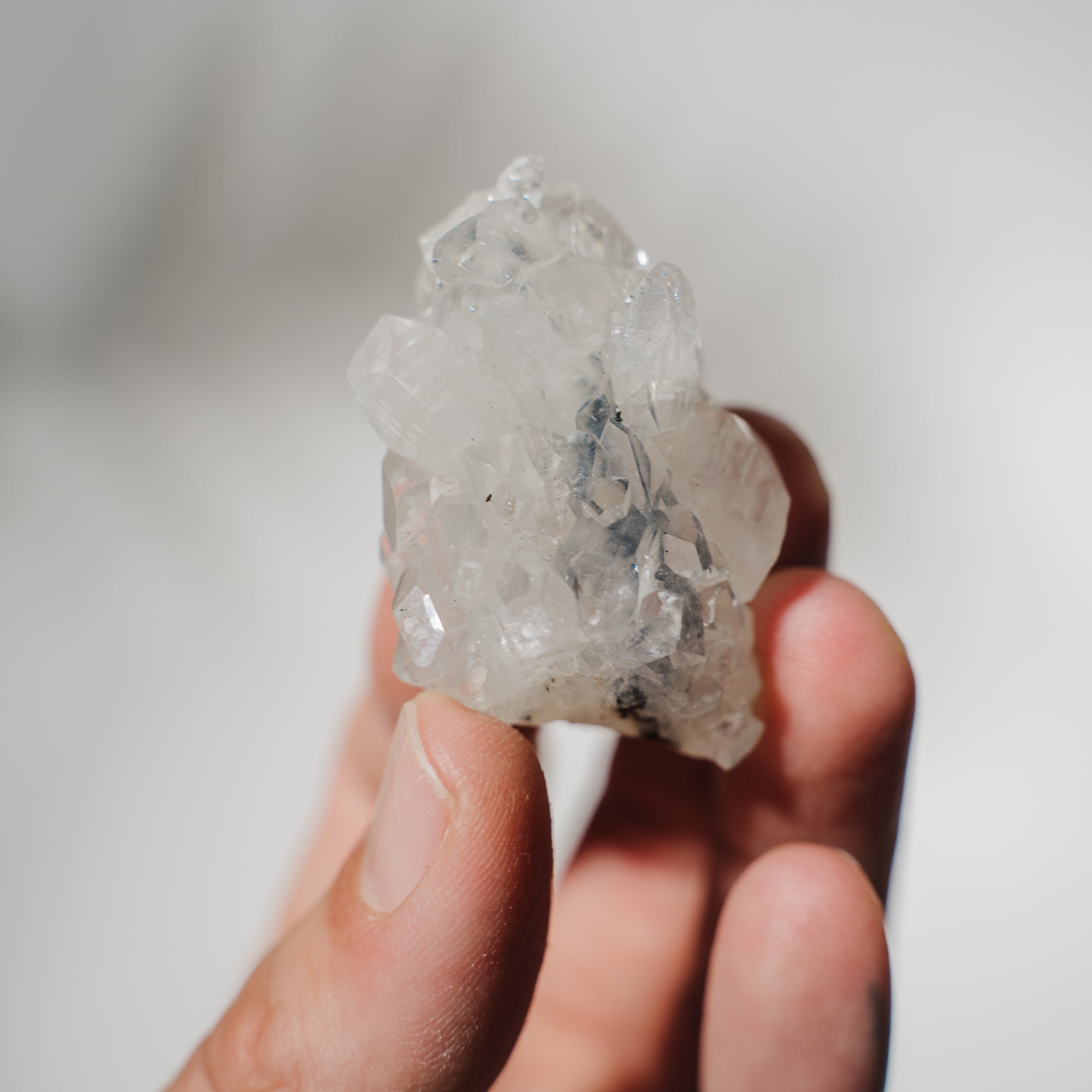 Apophyllit Stufe 14AB