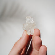 Apophyllit Stufe 8AB