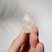 Apophyllit Stufe 8AB