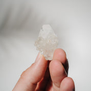Apophyllit Stufe 8AB
