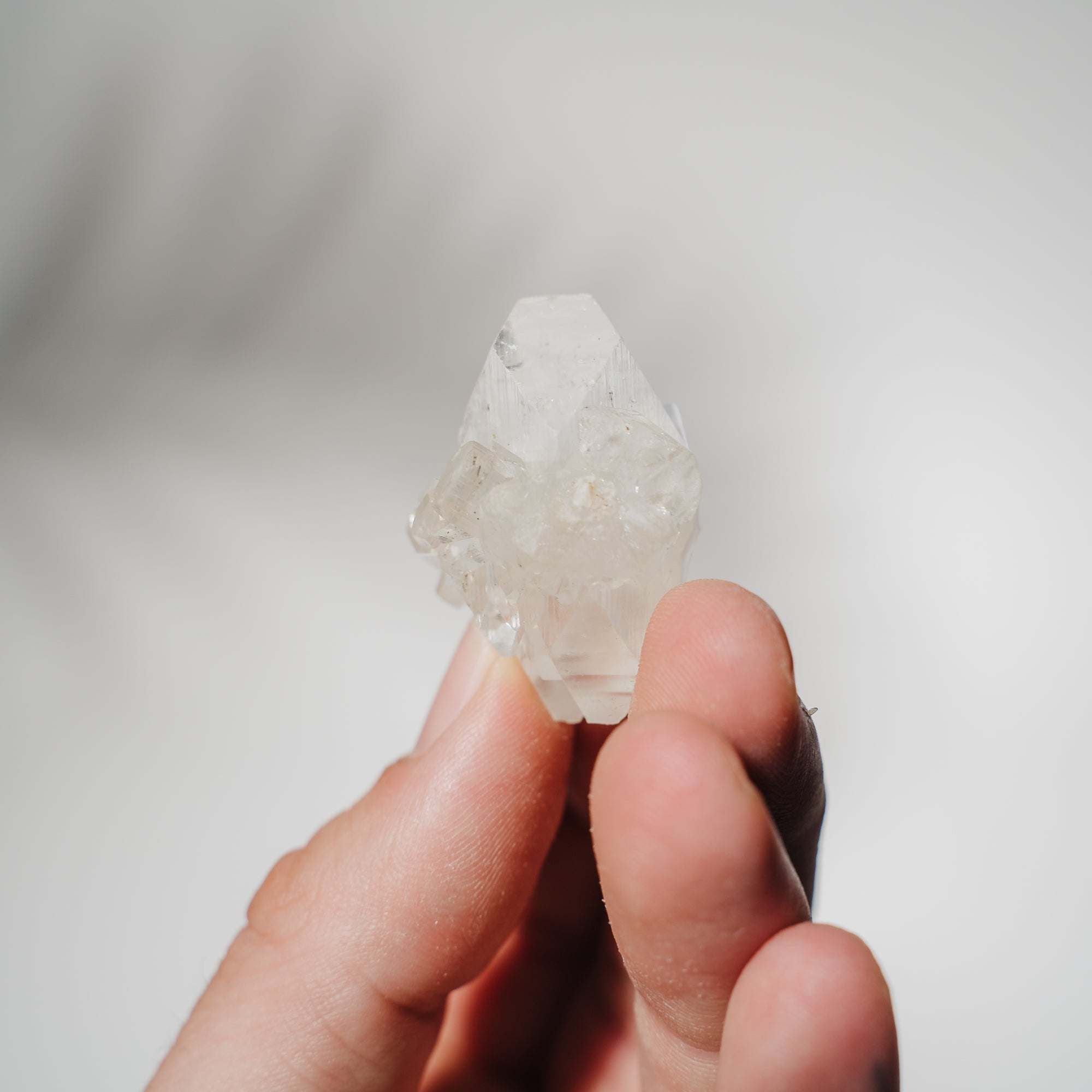 Apophyllit Stufe 8AB