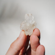 Apophyllit Stufe 8AB