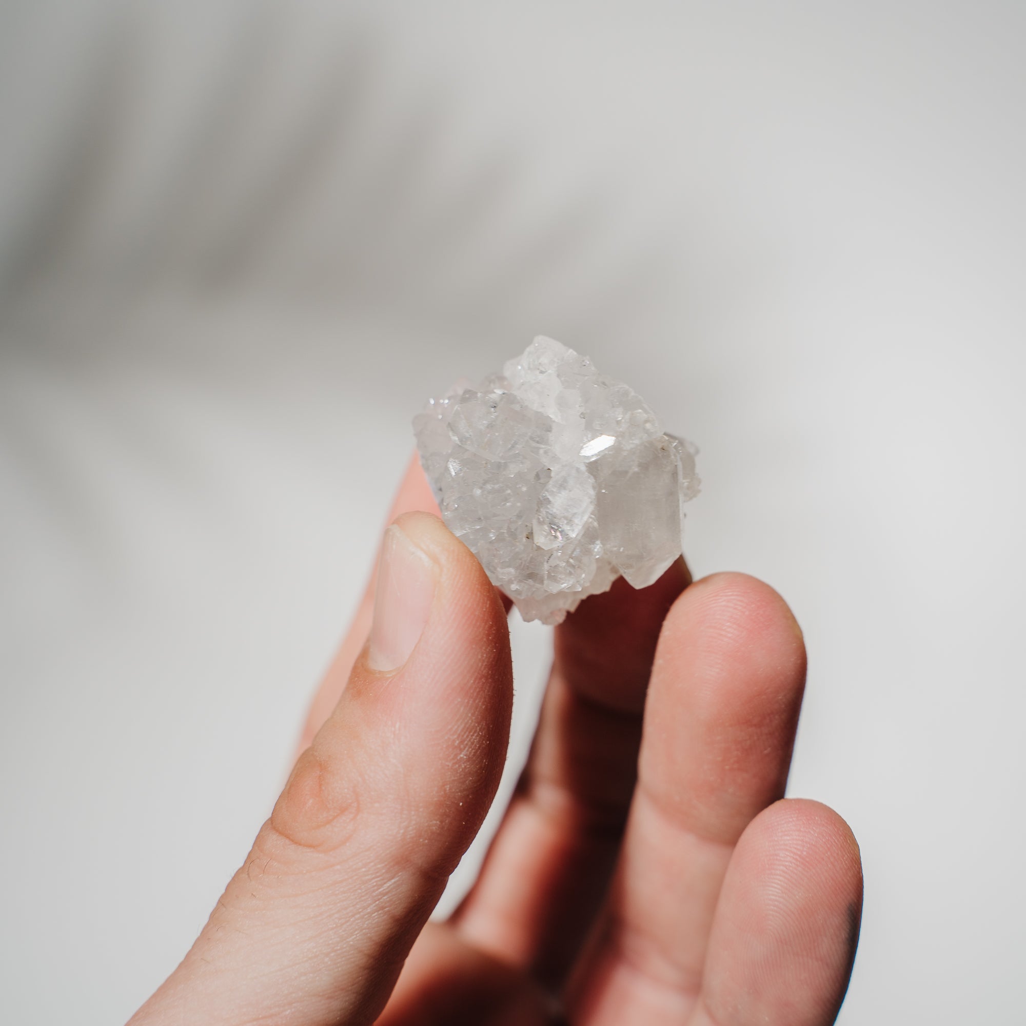 Apophyllit Stufe 10AC