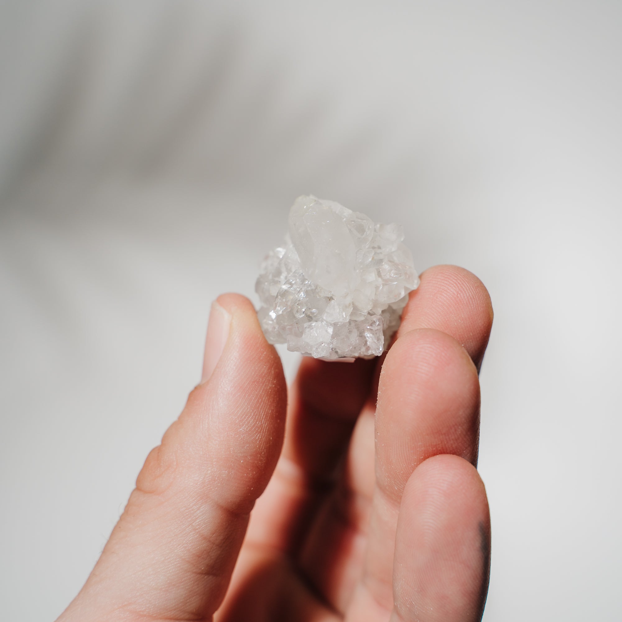 Apophyllit Stufe 10AC